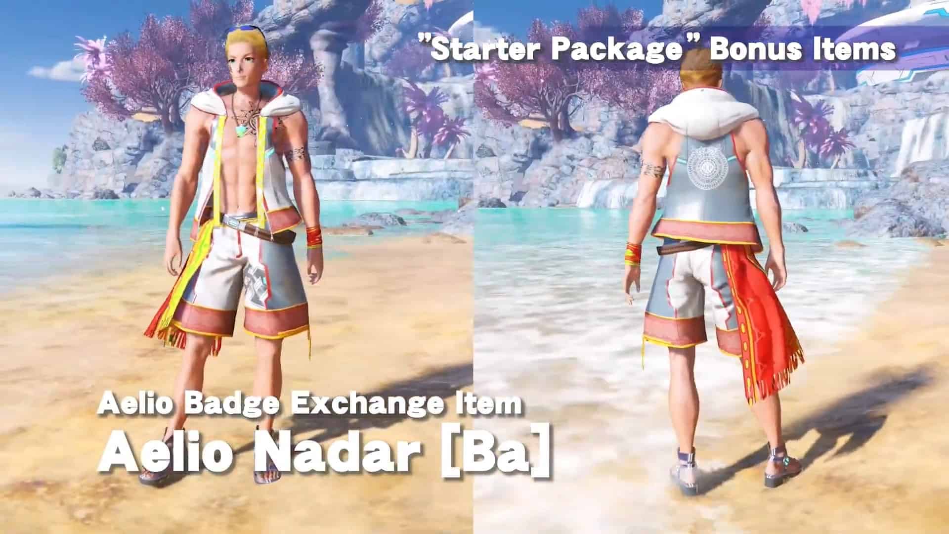 pso2 new genesis starter package 1