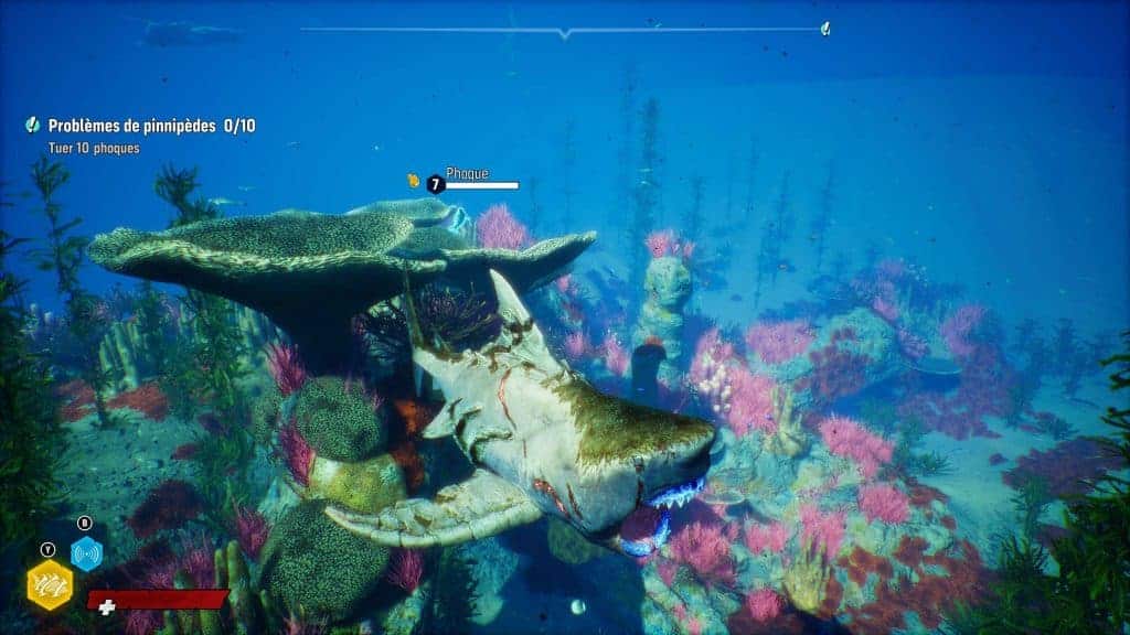 18 10 2021 22 33 55 2p0muk4n scaled