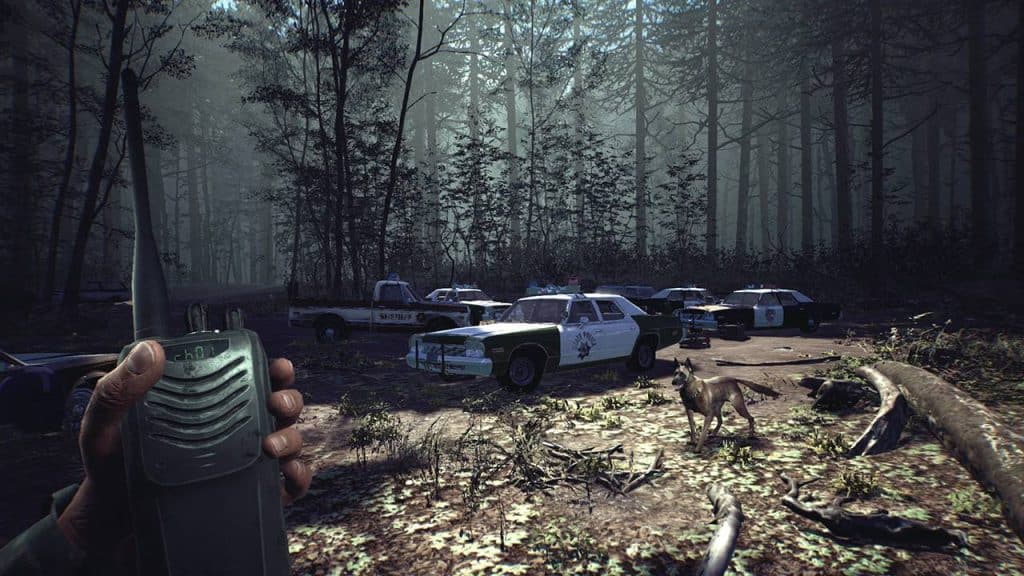 NSwitchDS BlairWitch 02