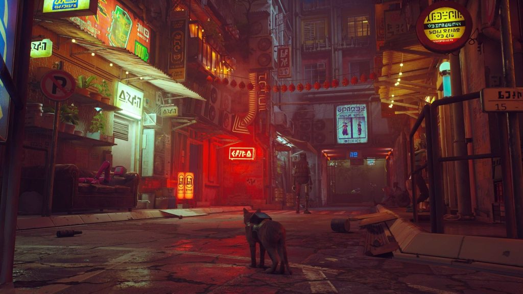 stray 02