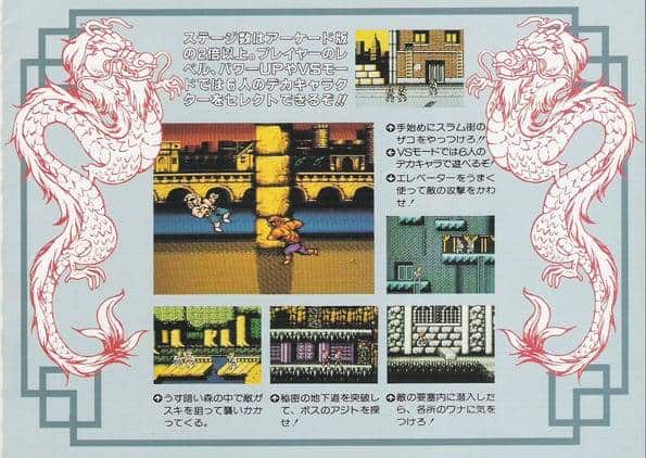 Double dragon artwork 4