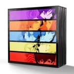web storeicon Persona VINYL 6