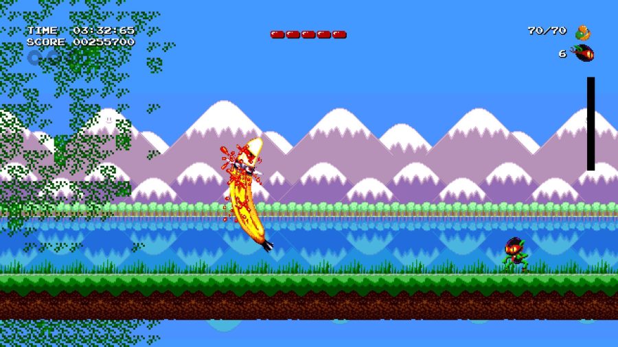 Zool