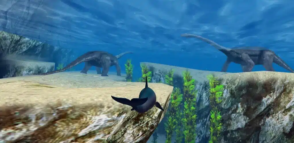 ecco 12 scaled