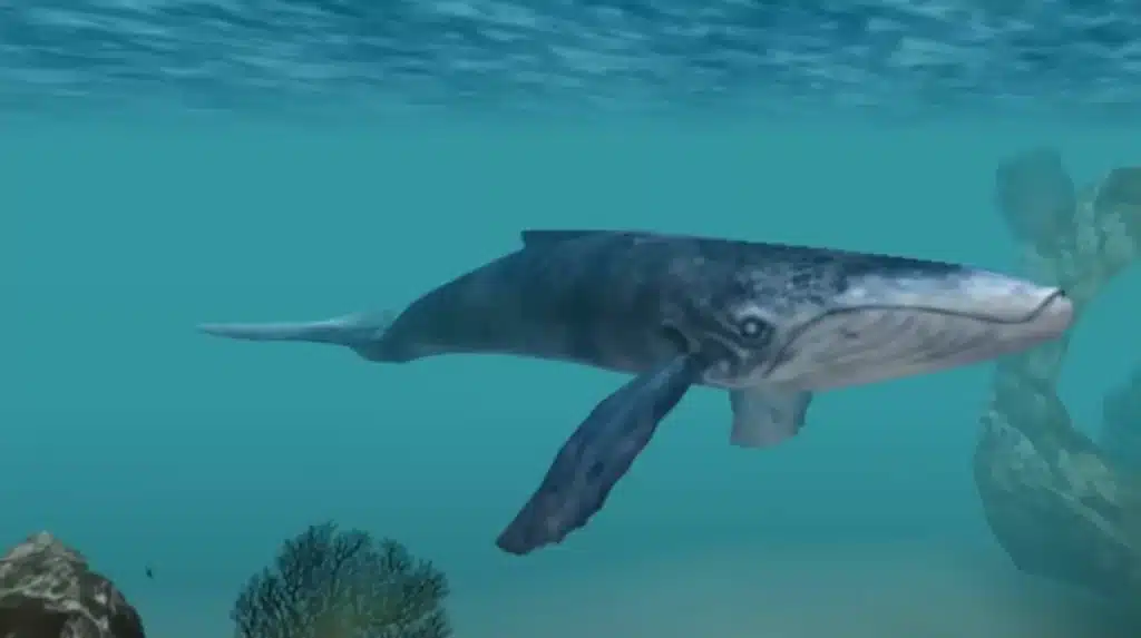 ecco 14 scaled