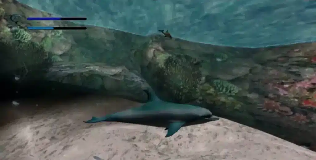 ecco 2 2 scaled