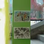 dsc03729