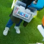 dsc04049