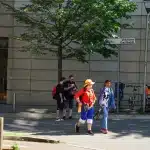 dsc04196
