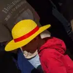 dsc04198
