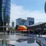 dsc04339