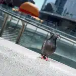 dsc04357