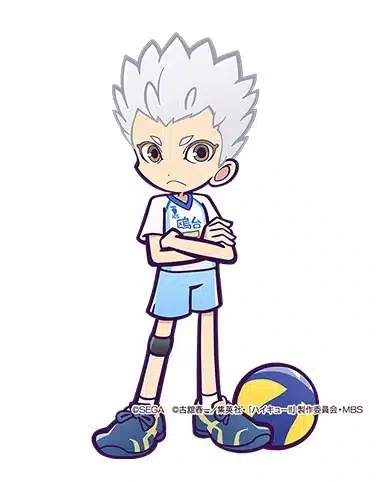 puyo haikyu 11