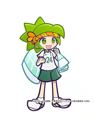 puyo haikyu 14