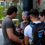 westream 19