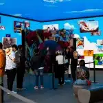 westream 27