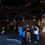 westream 314