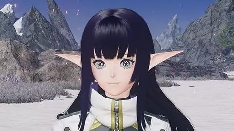 phantasy star online 2 new genesis windows 12