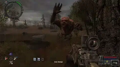 stalker 10