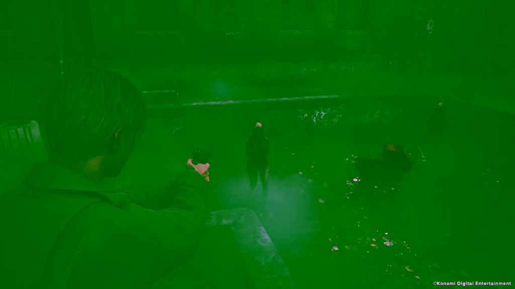 SH2 Pool cp scaled