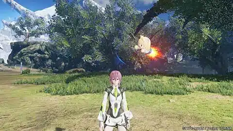241205 1 11