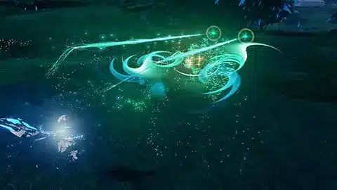 241205 1 29
