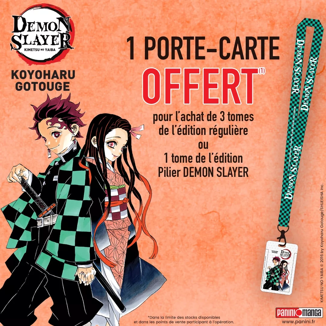 demon slayer porte carte panini