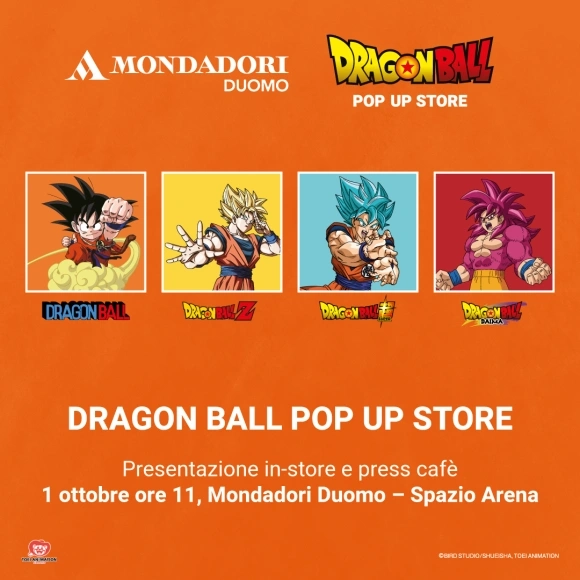 dragon ball store