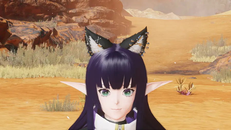 phantasy star online 2 new genesis windows 1874