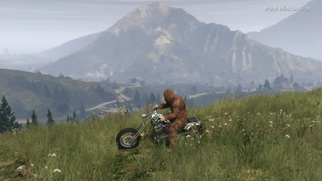 grand theft auto v 5