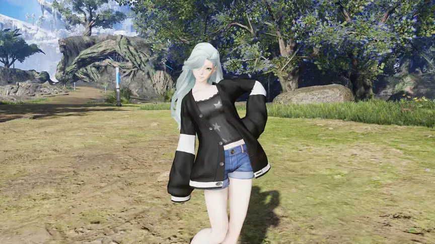 phantasy star online 2 new genesis windows 2333