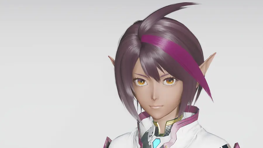 phantasy star online 2 new genesis windows 2384