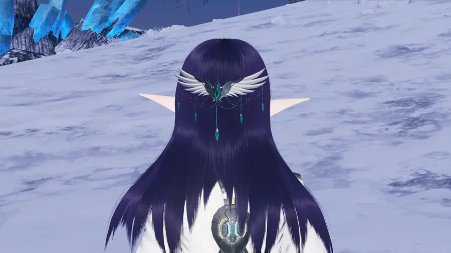 phantasy star online 2 new genesis windows 2387