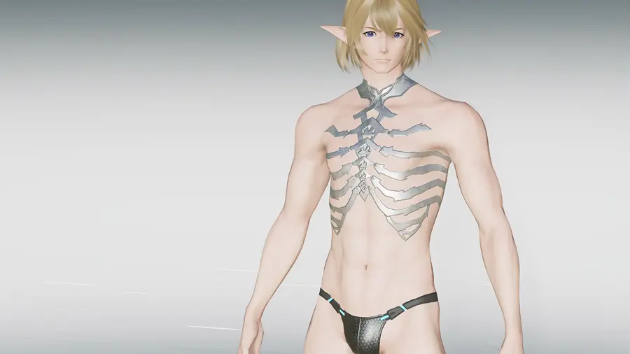 phantasy star online 2 new genesis windows 2412