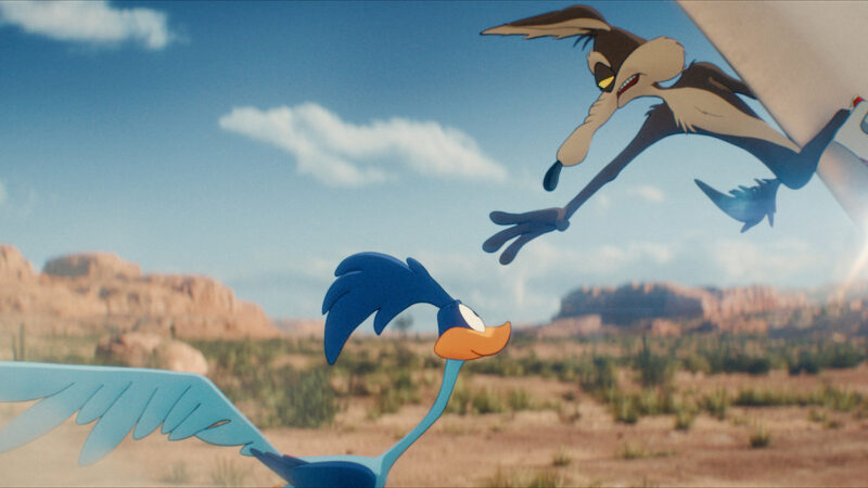 coyote vs acme 3 scaled