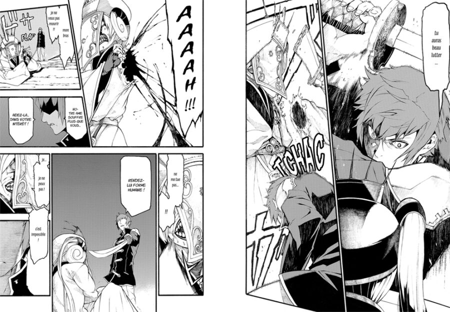 fftype 0 1planche2 scaled